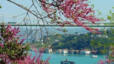 İstanbul'da En Güzel Bahar Festivalleri ve Doğa Gezileri